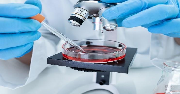 نقش میکروبها در بدن